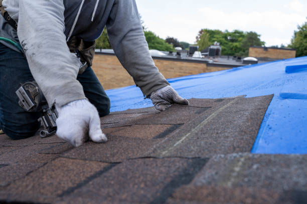 Best Green or Eco-Friendly Roofing Solutions  in Brandon, SD